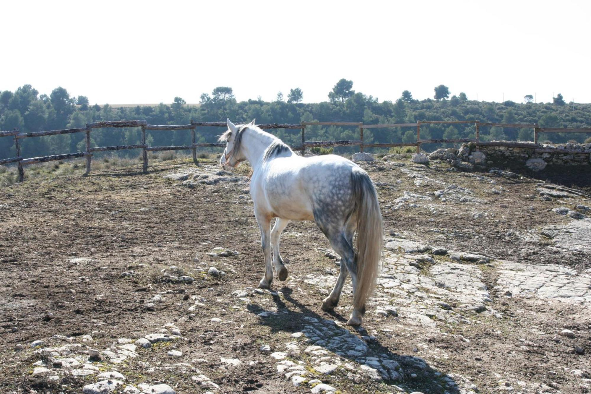La Posada Del Hidalgo De Alarcón Dış mekan fotoğraf